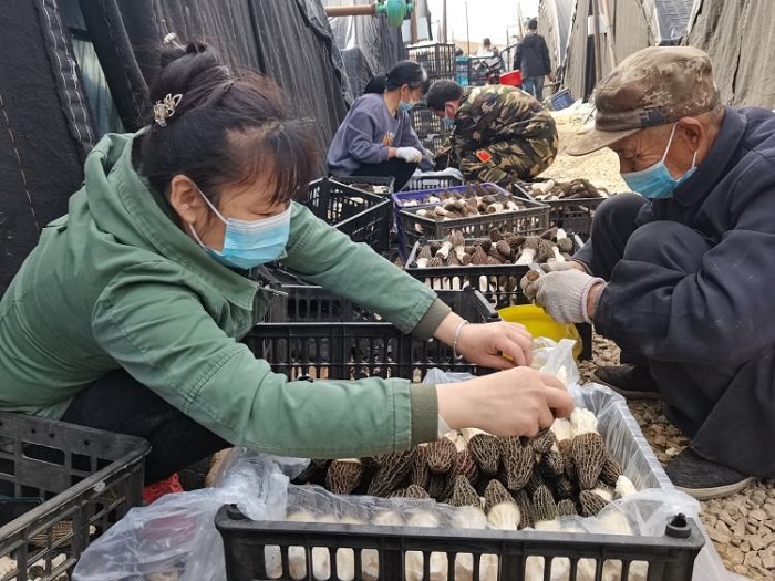 首页- 腾博官网诚信为本,专业服务!