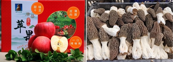 首页- 腾博官网诚信为本,专业服务!